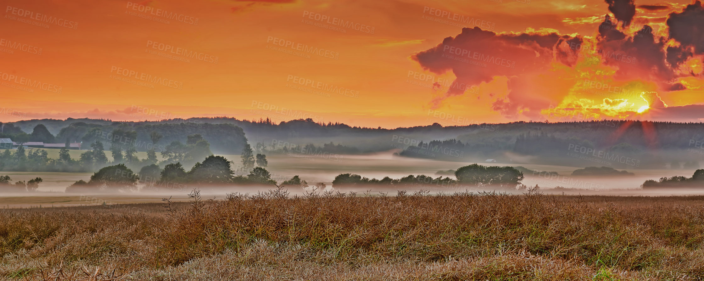 Buy stock photo A photo of a vibrant country field in harvest