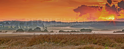 Buy stock photo A photo of a vibrant country field in harvest