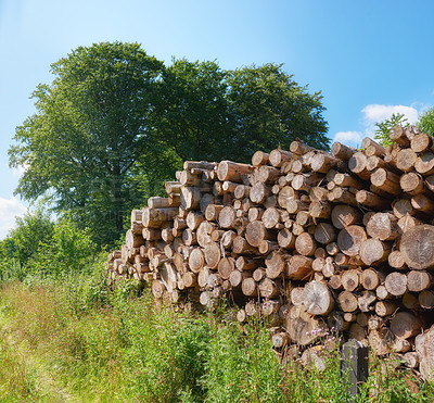 Buy stock photo Rustic landscape with deforestation and felling in the woods. Chopped tree logs piled up in a forest. Collecting dry stumps of timber and split hardwood material for firewood and the lumber industry