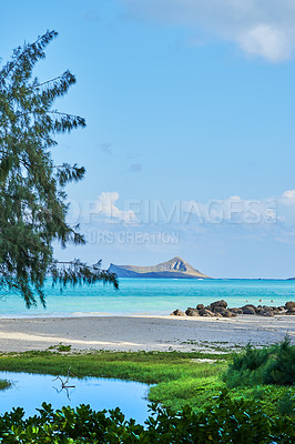 Buy stock photo Island, nature and trees with beach horizon for tropical holiday, lagoon water and travel destination. Mockup space, blue sky and grass growth with mountain view, summer paradise and vacation retreat