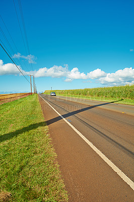 Buy stock photo A vehicle in the distance riding on an open highway road leading through agricultural farms. Landscape of growing pineapple plantation field with blue sky, clouds, and copy space in Oahu, Hawaii, USA