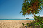 Lanikaii Beach - Oahu, Hawaiii