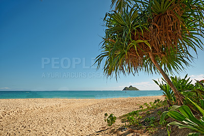 Buy stock photo Island, beach and trees with sand outdoor for tropical holiday, lagoon water and travel destination. Mock up space, blue sky and landscape with mountain view, summer paradise and vacation getaway