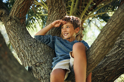 Buy stock photo Shot of an adorable little boy playing in a tree at the park