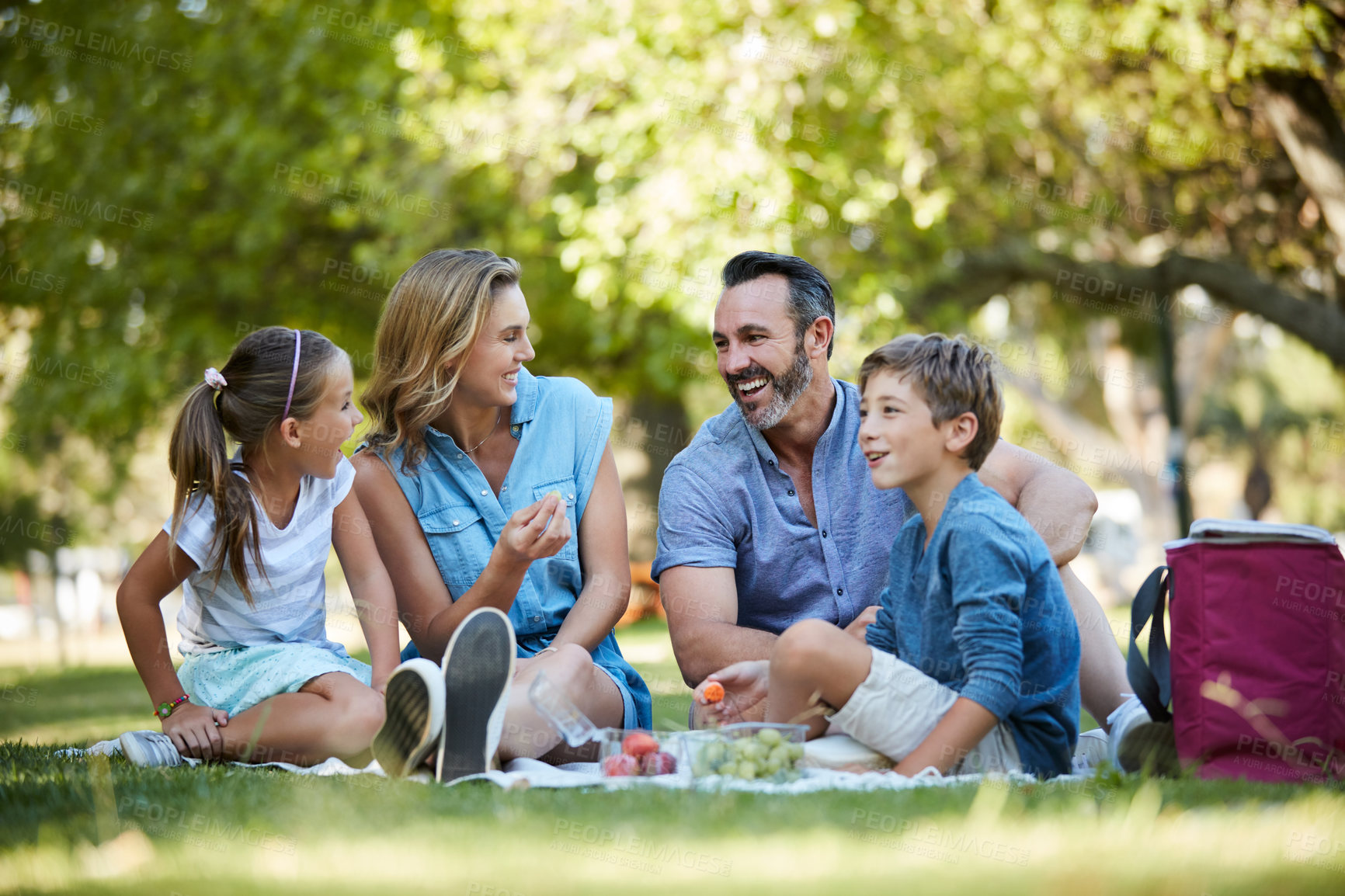 Buy stock photo Shot of a happy young family enjoying a picnic in the park