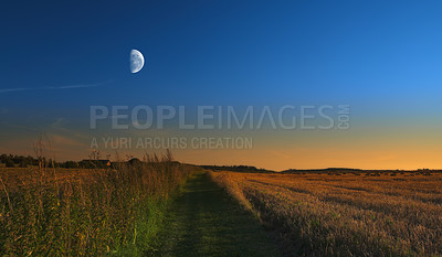 Buy stock photo Landscape view of the moon shining over rye, wheat grain in remote countryside with copy space. Detail texture background of a dark blue night sky over a moonlit sustainable local harvested cornfield