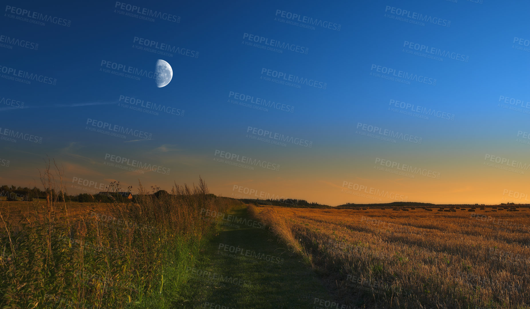 Buy stock photo Landscape view of the moon shining over rye, wheat grain in remote countryside with copy space. Detail texture background of a dark blue night sky over a moonlit sustainable local harvested cornfield