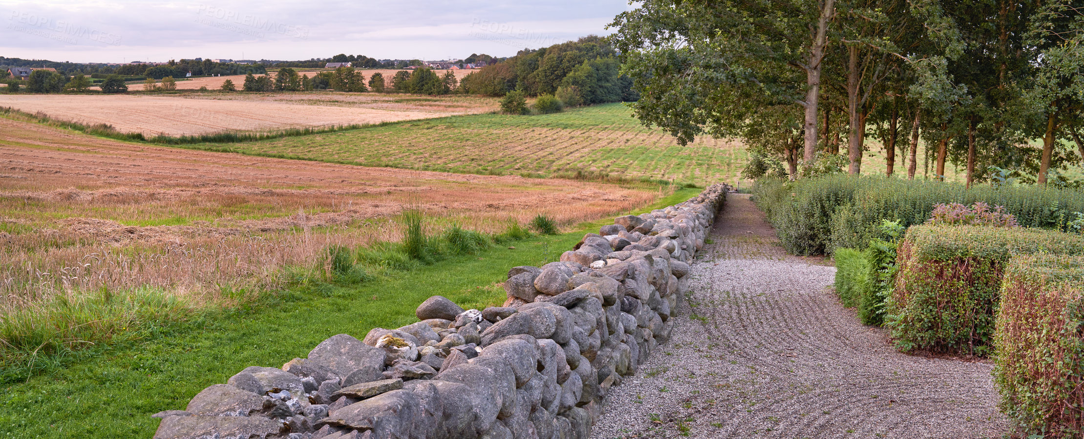 Buy stock photo Landscape of a cultivated farmland with crops growing by the countryside. Beautiful nature scene of an open agricultural land near a garden with stone fence, trees and grass in a green environment