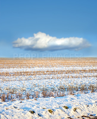 Buy stock photo White snow covered ground in Denmark on a cold winter day with copyspace. Frosty field preserved in ice, twigs and grass under a snow blanket in an open field or rural landscape with copy space  