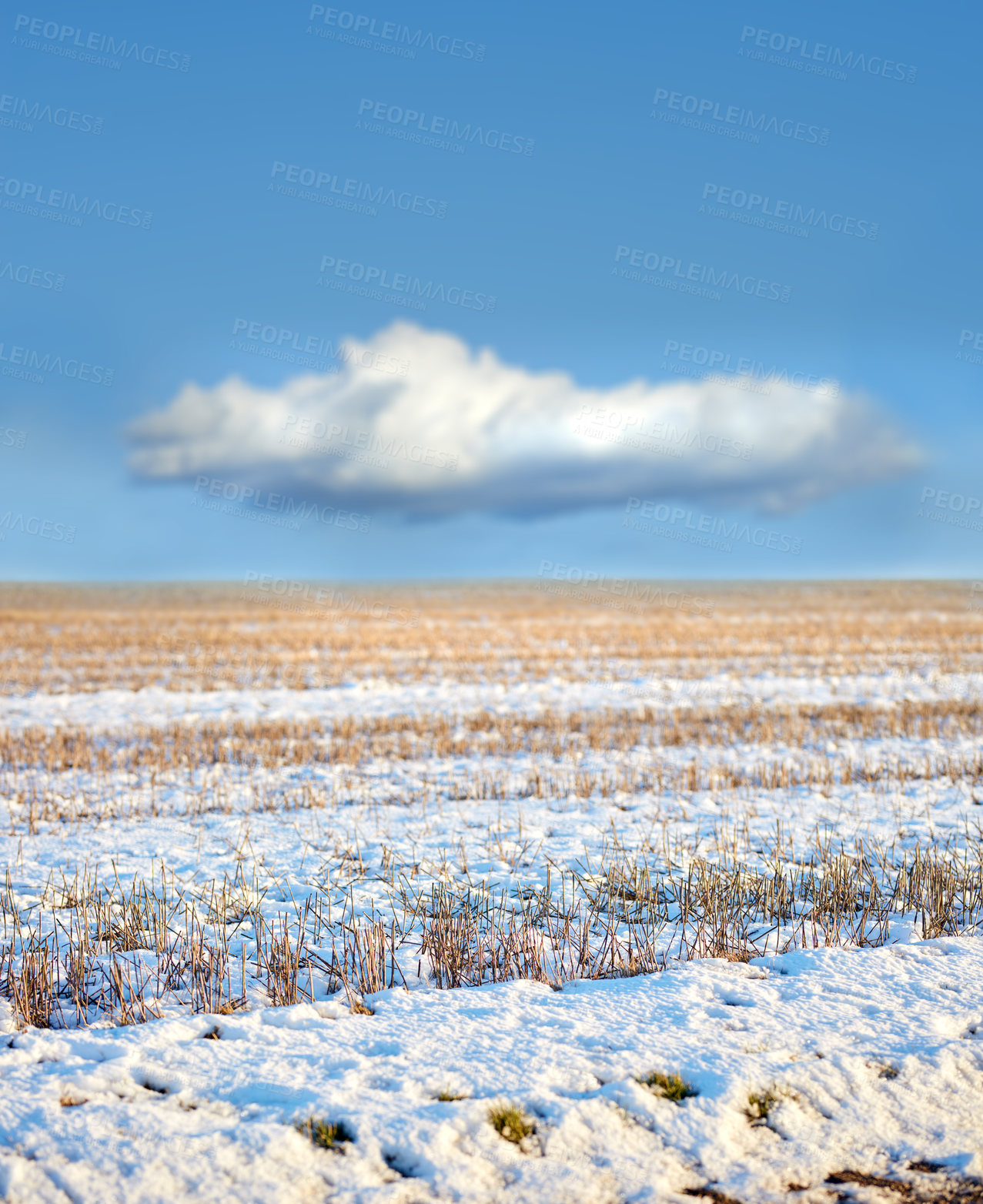 Buy stock photo White snow covered ground in Denmark on a cold winter day with copyspace. Frosty field preserved in ice, twigs and grass under a snow blanket in an open field or rural landscape with copy space  