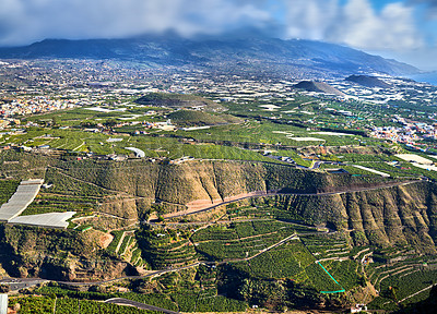 Buy stock photo Banana plantations around Los Llanos, La Palma, Spain