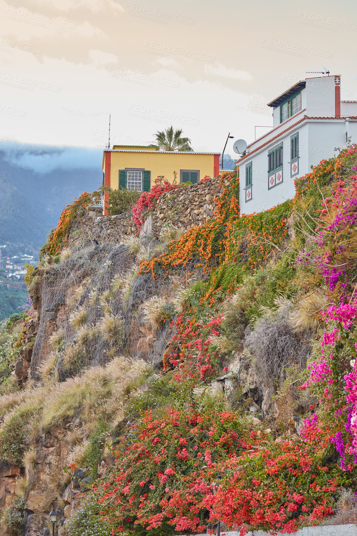 Buy stock photo City view of residential buildings or houses on hill cliff in Santa Cruz, La Palma, Spain. Historical spanish, colonial architecture, vibrant flowers in tropical village of famous tourism destination