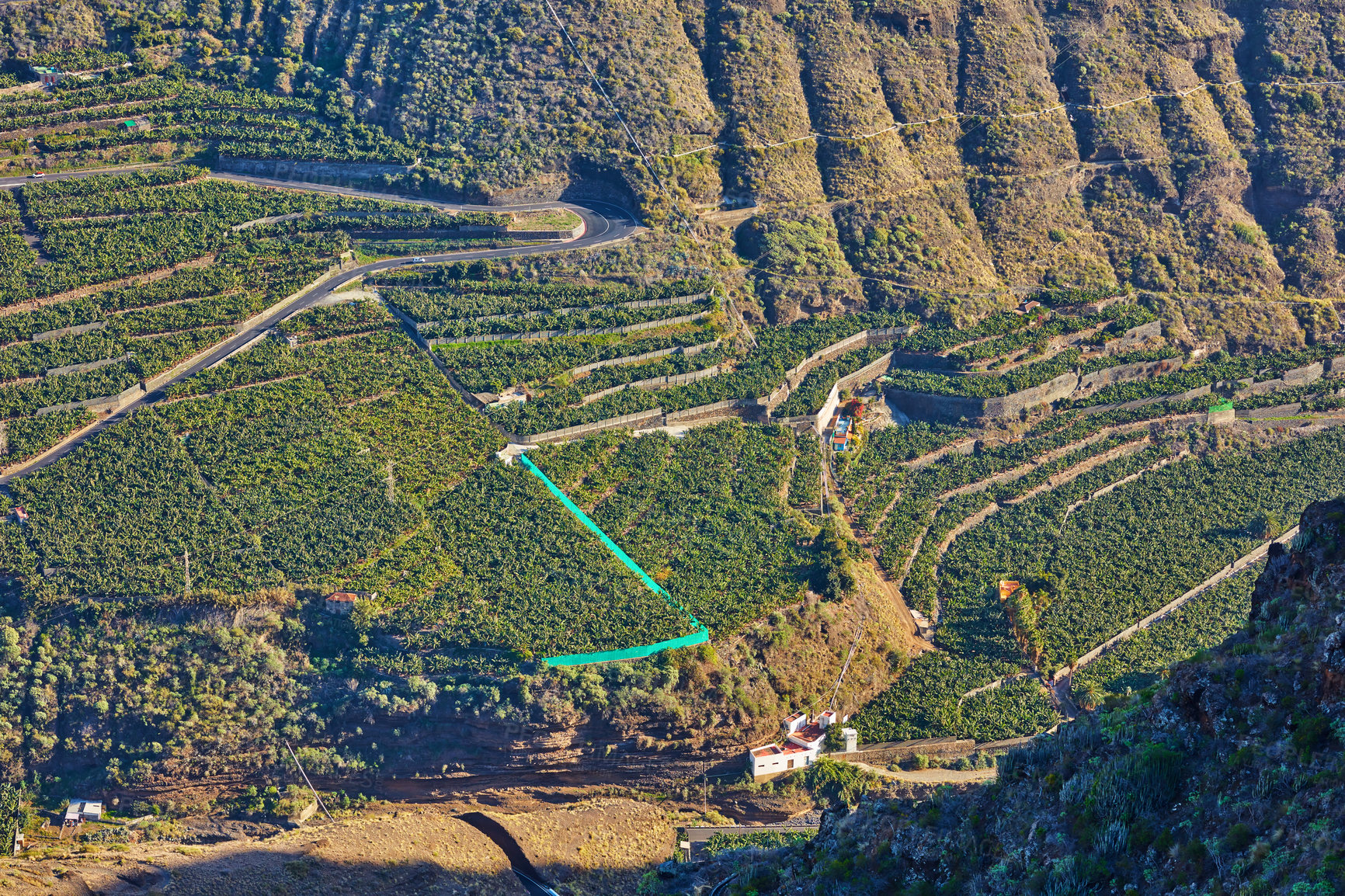 Buy stock photo Above view of banana plantations on agriculture island in Los Llanos, La Palma, Spain. Landscape of wide cultivated land or tropical fields with lush green vegetation on rocky hills or mountains