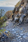 Mountain trails - La Palma, Canary Islands