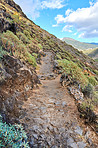 Mountain trails - La Palma, Canary Islands