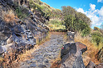 Mountain trails - La Palma, Canary Islands