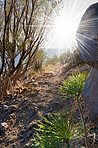 Mountain trails - La Palma, Canary Islands