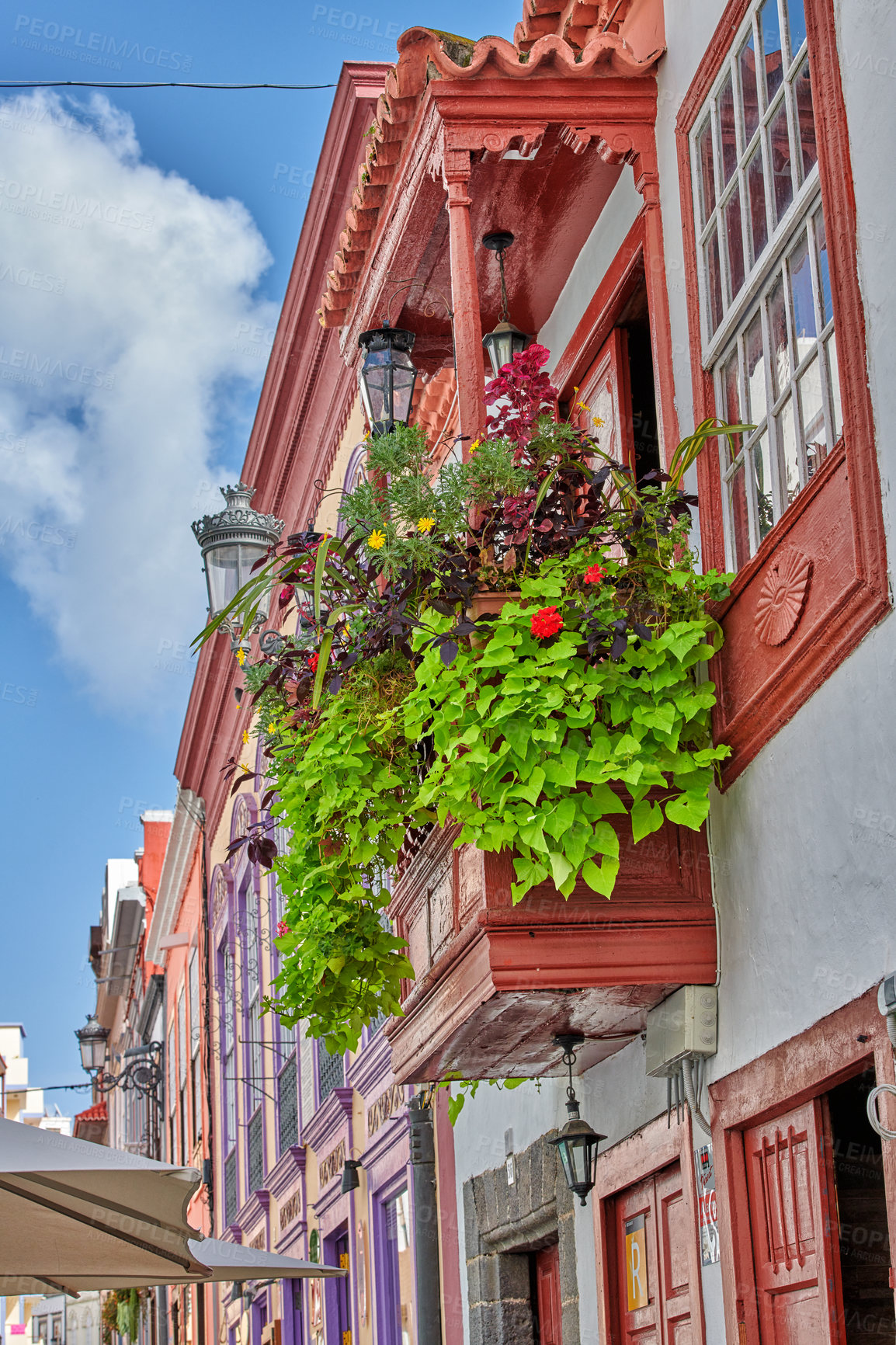 Buy stock photo Classic building with flowers and plants on the balcony in the city of Santa Cruz de La Palma. Old homes built by traditional architecture with a terrace garden in a city or village in summer