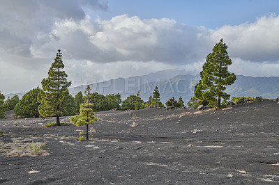 Buy stock photo Beautiful lava landscape on the Cumbre Nueva in La Palma