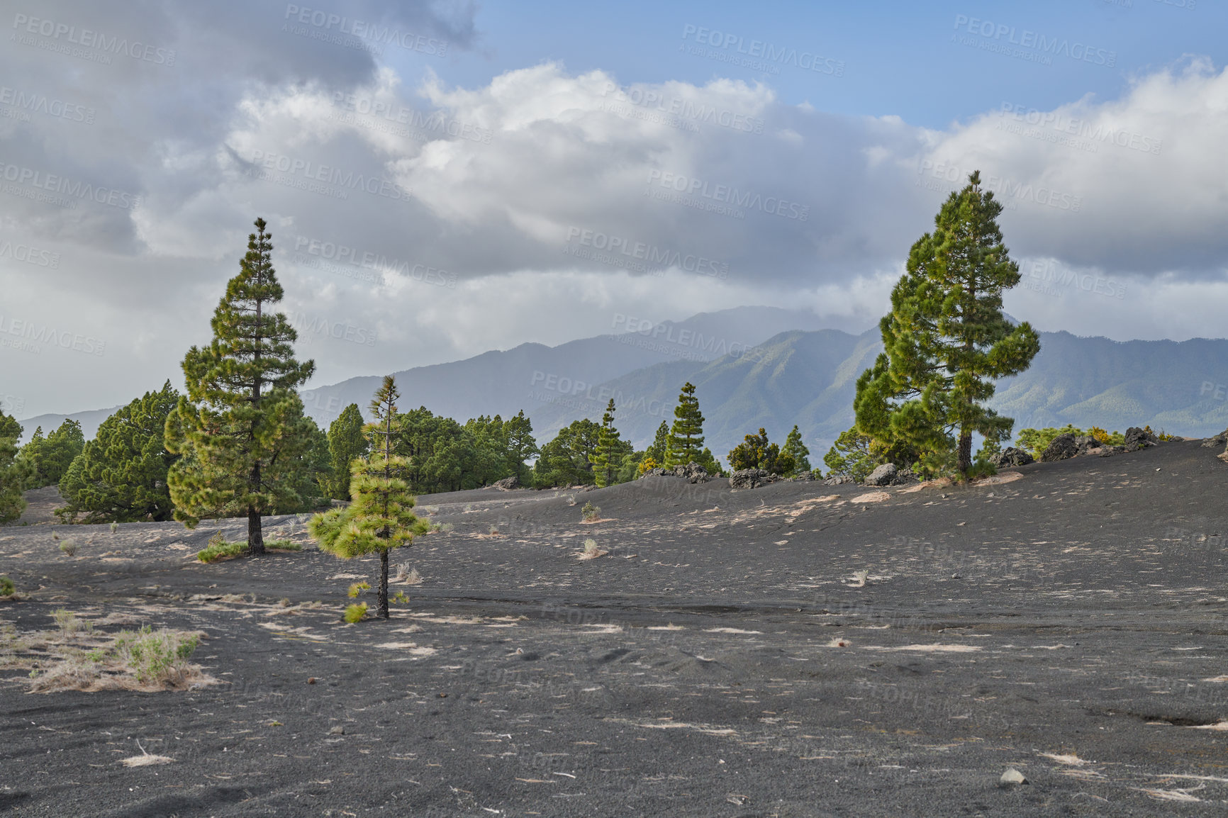 Buy stock photo Beautiful lava landscape on the Cumbre Nueva in La Palma