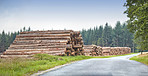 Lumber piles