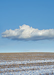 Farmland in winter - Denmark