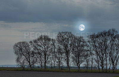 Buy stock photo The forest in late winter - early spring