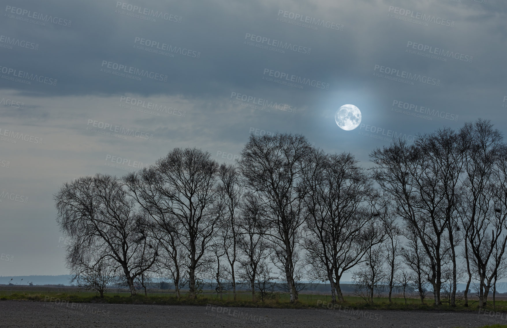 Buy stock photo The forest in late winter - early spring