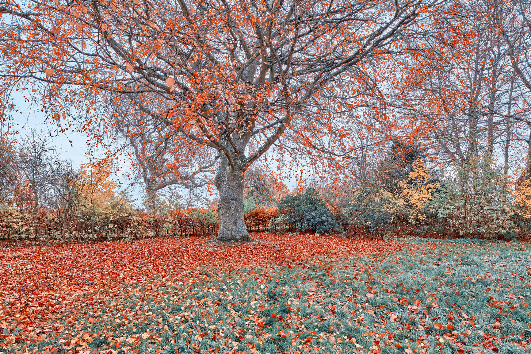 Buy stock photo A photo of a vibrant country field in early autumn