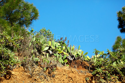 Buy stock photo Mountain trails on La Palma, the west coast, Canary Island, Spain, Aerial view