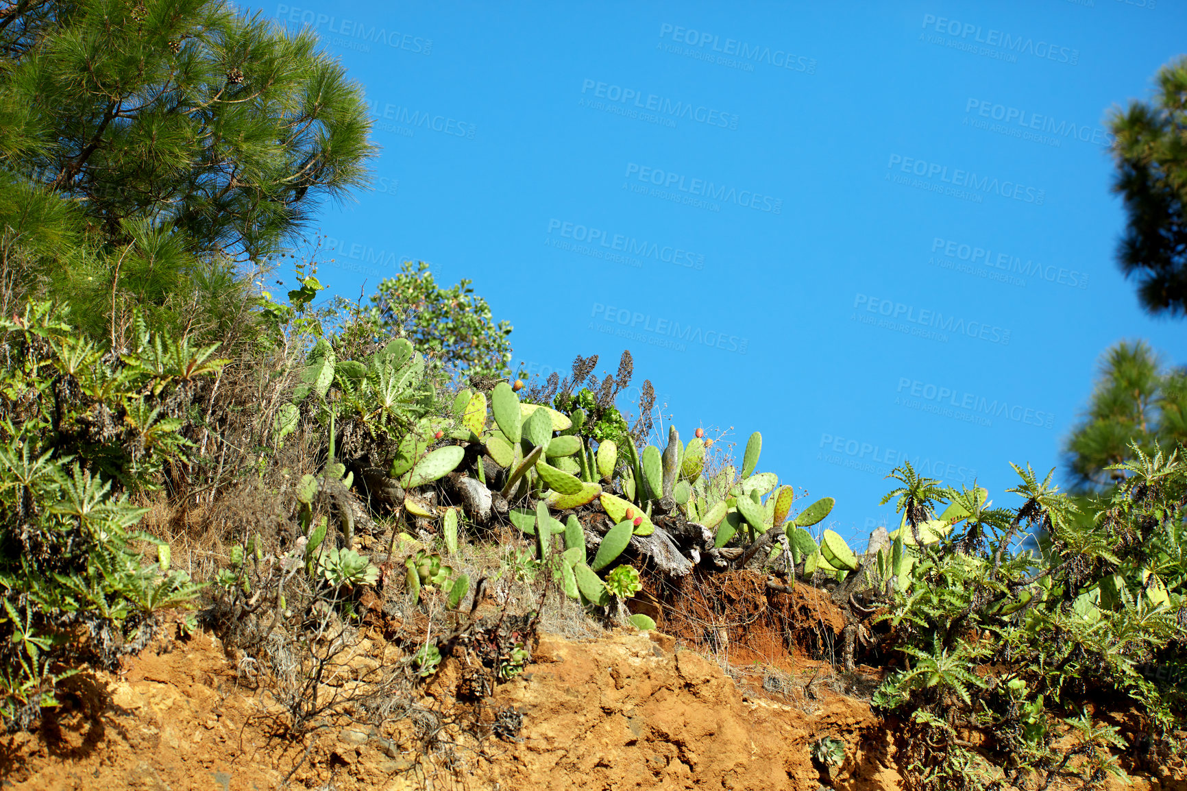 Buy stock photo Mountain trails on La Palma, the west coast, Canary Island, Spain, Aerial view