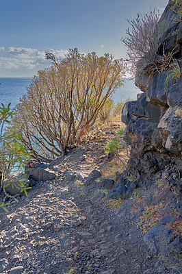 Buy stock photo Mountain trails on La Palma, the west coast, Canary Island, Spain, Aerial view