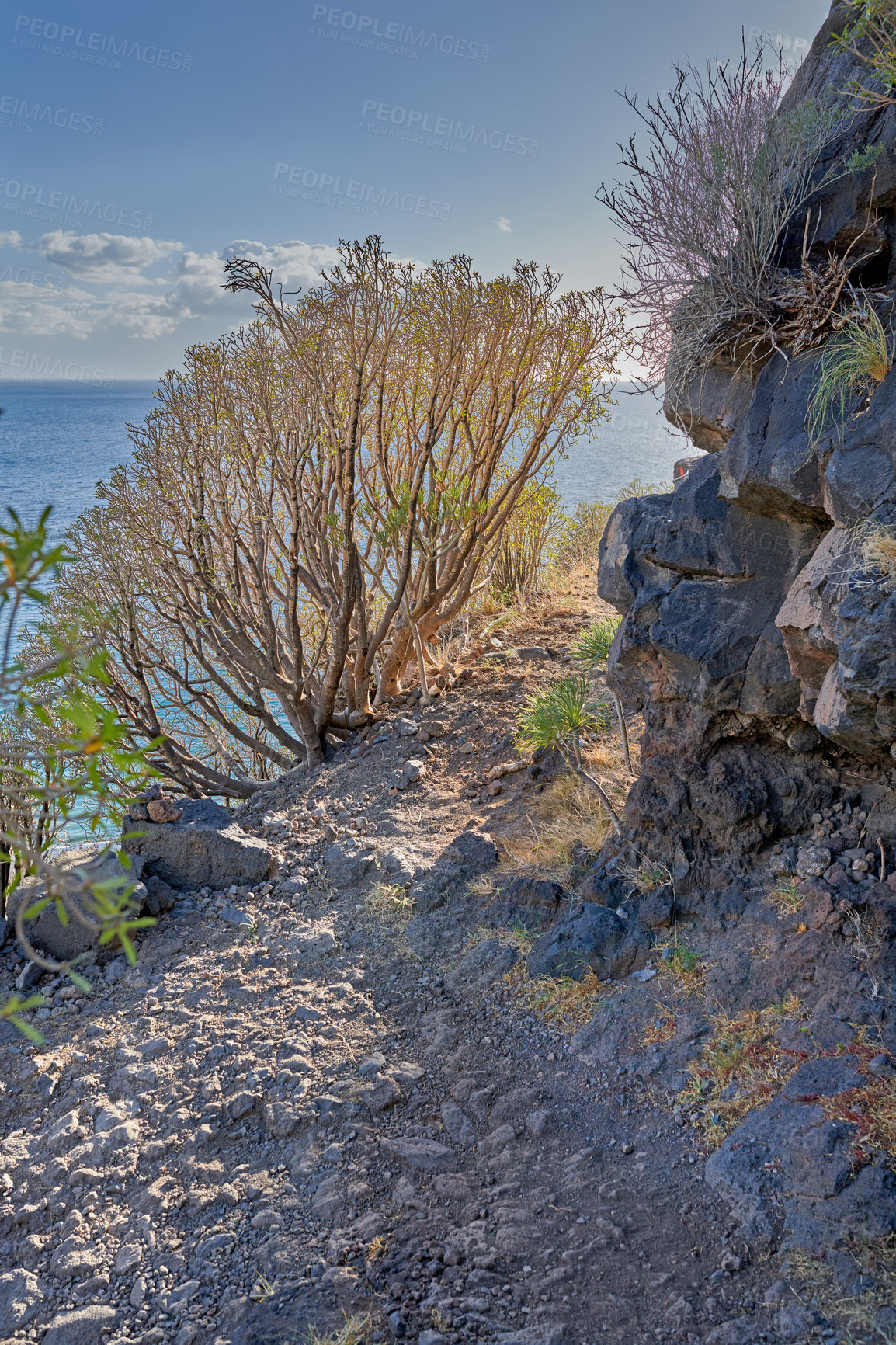 Buy stock photo Mountain trails on La Palma, the west coast, Canary Island, Spain, Aerial view