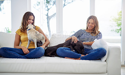 Buy stock photo Full length shot of attractive young twin sisters relaxing with their dogs on the sofa at home