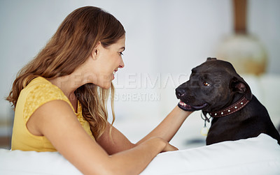 Buy stock photo Cropped shot of an attractive young woman sitting with her dog on the sofa at home