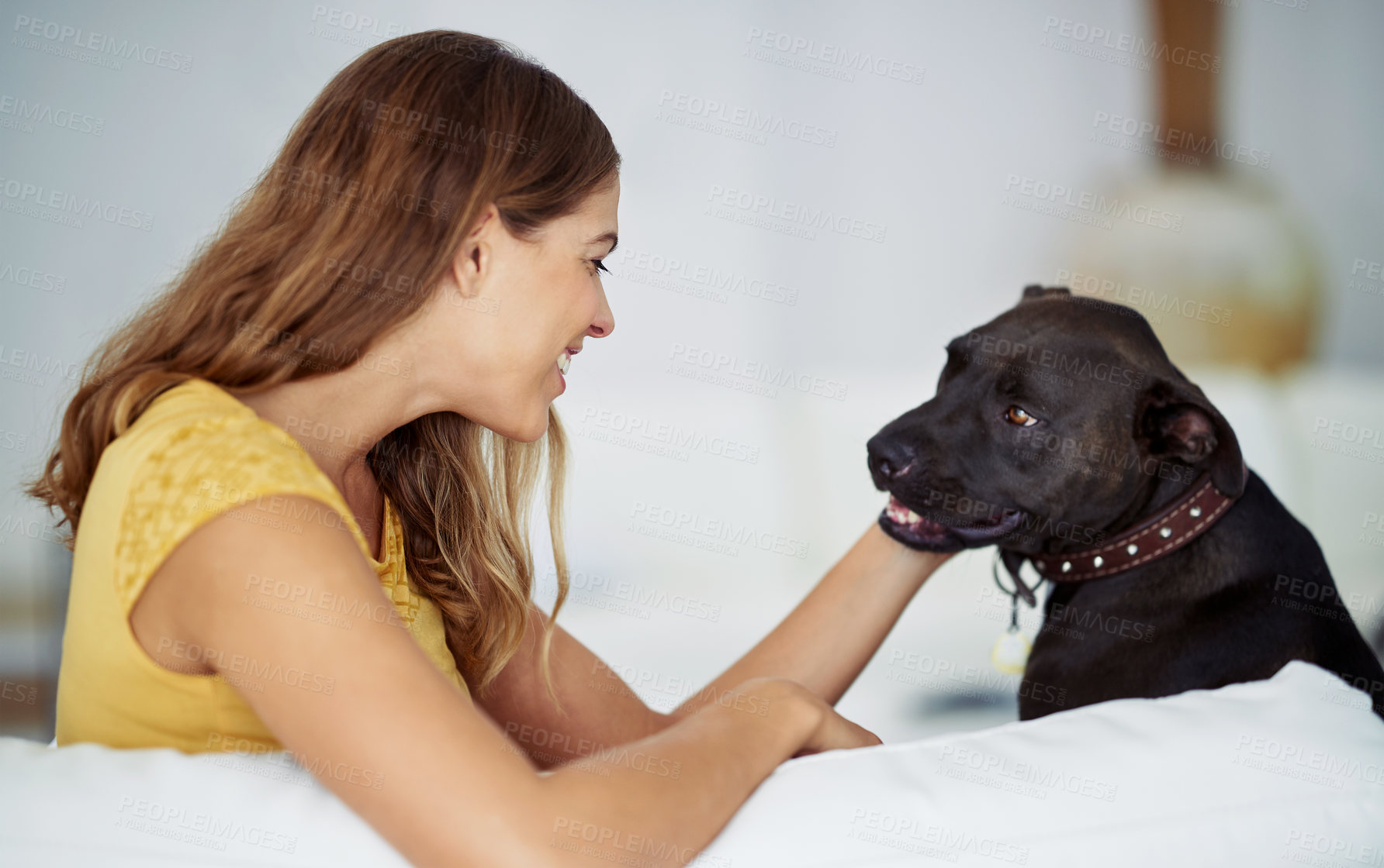 Buy stock photo Home, sofa and woman with dog for bonding, connection and companion with happiness in living room. House, female person and pet care with stroke for animal, labrador and loyalty with love in couch