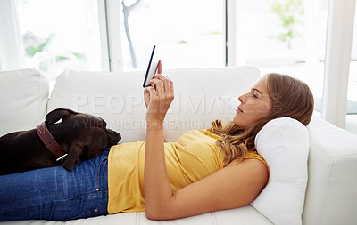 Buy stock photo Cropped shot of an attractive young woman using a digital tablet while lying on a sofa with her dog