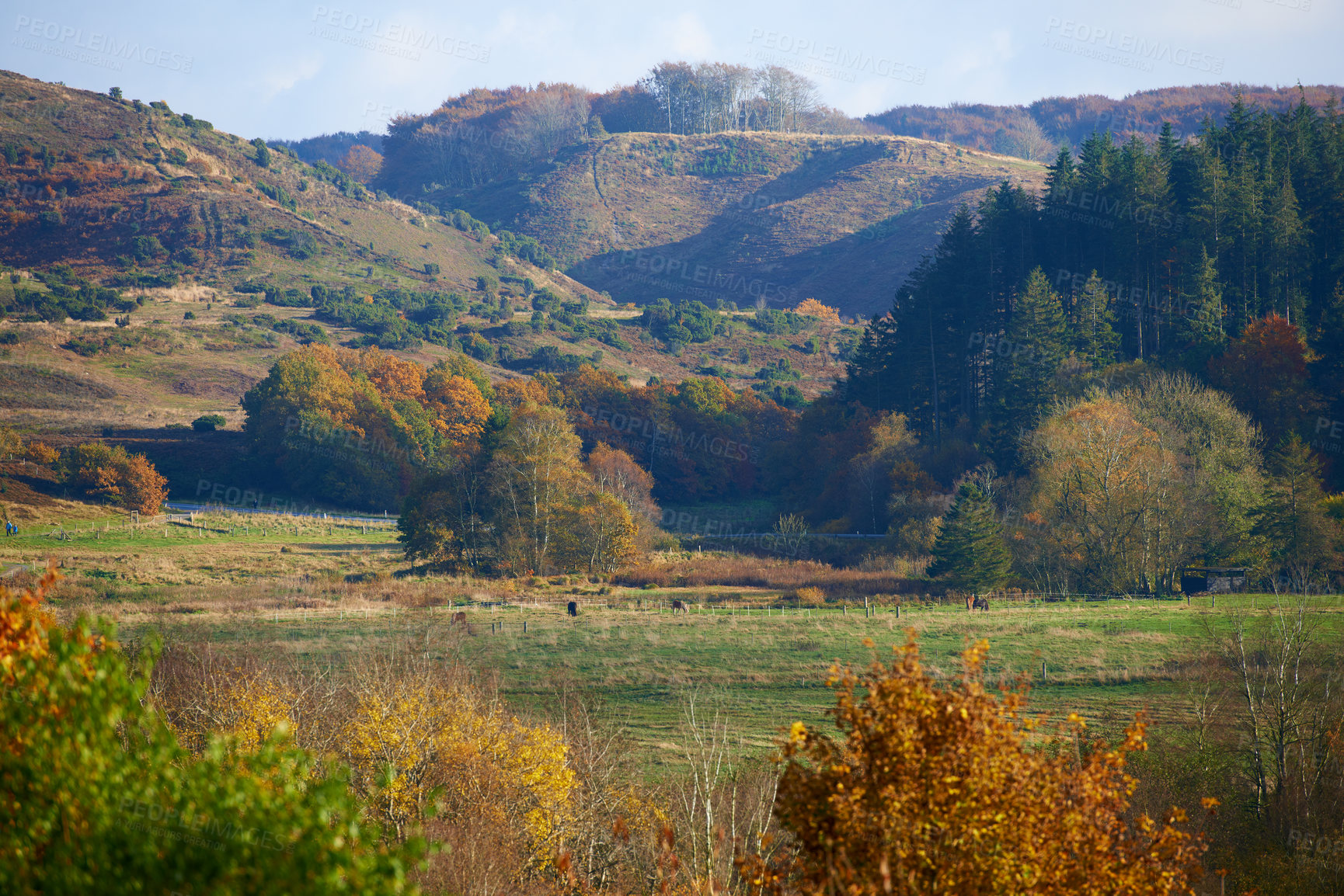 Buy stock photo Autumn - natural background