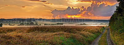 Buy stock photo Banner, sunset and path with misty fog of natural scenery, grass field or farmland in nature or countryside. Empty, sun and clouds with road or dirt track for morning in forest, woods or wilderness