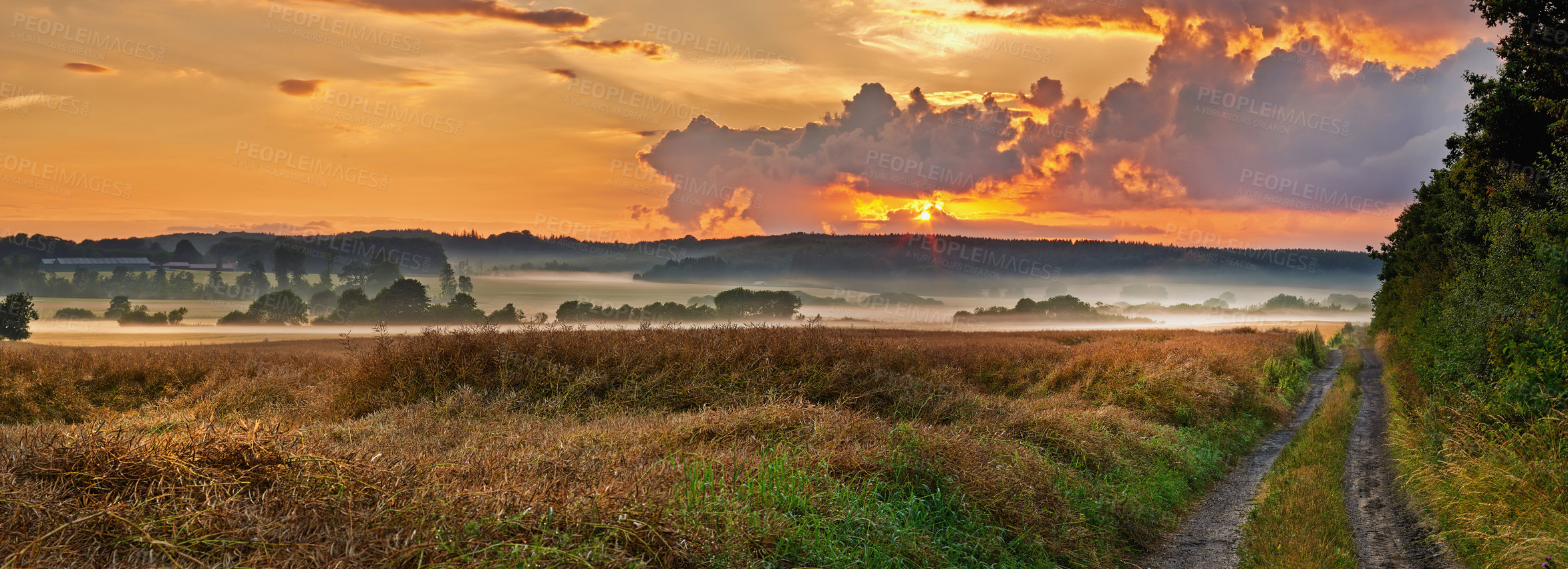 Buy stock photo A photo of a vibrant country field in harvest