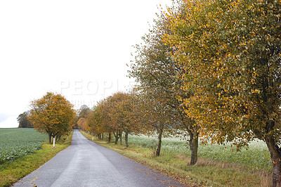 Buy stock photo Autumn - natural background