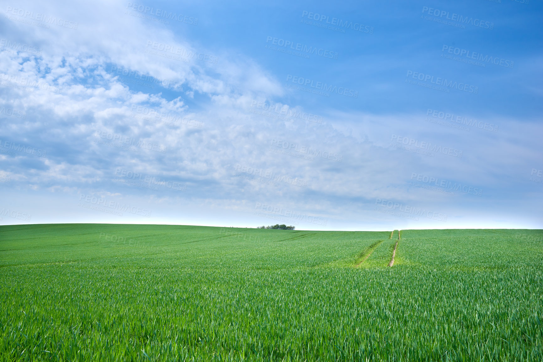 Buy stock photo Green fields and blue sky in spring and early summer