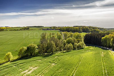 Buy stock photo Lush green countryside of Jutland, Denmark with copyspace. Sustainable, organic farm, rural landscape of tranquil grass, bushes and trees. Peaceful woodland with calming, soothing scenic views 