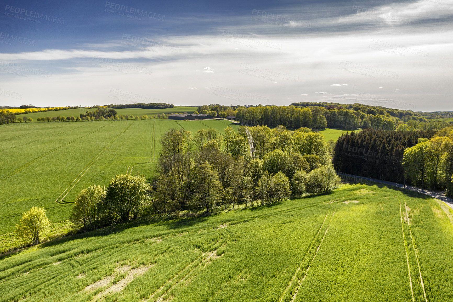 Buy stock photo Lush green countryside of Jutland, Denmark with copyspace. Sustainable, organic farm, rural landscape of tranquil grass, bushes and trees. Peaceful woodland with calming, soothing scenic views 