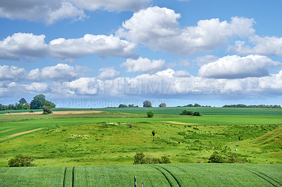 Buy stock photo Green fields and blue sky in spring and early summer