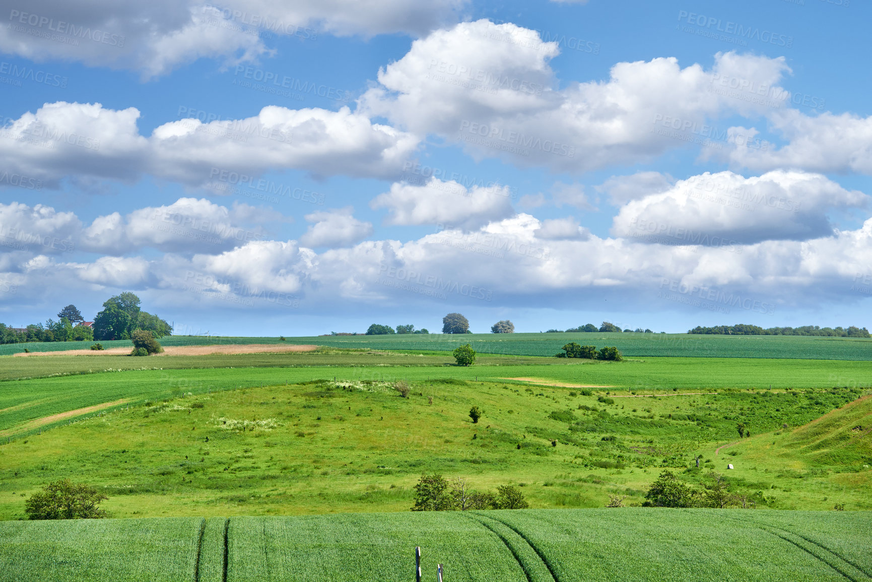 Buy stock photo Green fields and blue sky in spring and early summer