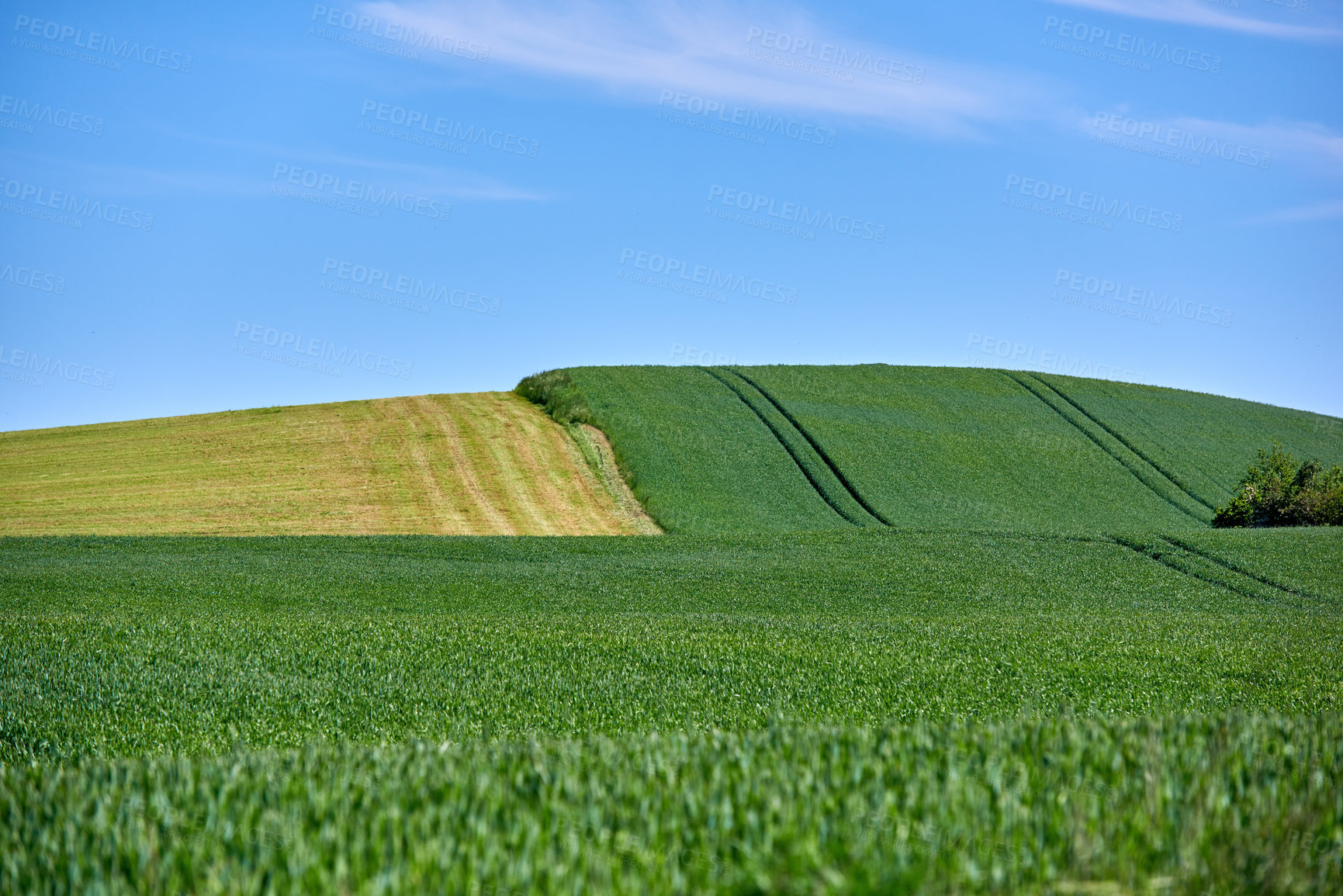 Buy stock photo Farmland in springtime - lots of copy space