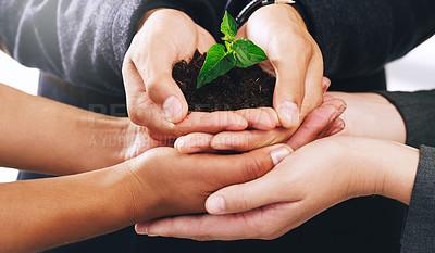 Buy stock photo Hands, plants and growth for nature sustainability, agriculture and interracial earth day support. Diversity, teamwork and green energy ecology, enviroment collaboration and carbon capture gardening