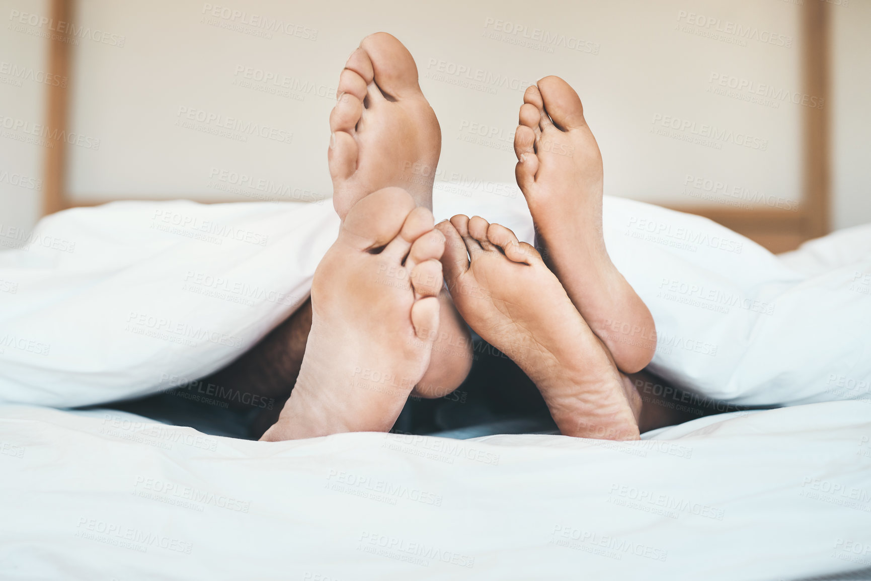 Buy stock photo Feet of an in love couple lying in bed, relaxing and bonding together at home. Closeup of a barefoot boyfriend and girlfriend sleeping, resting or taking a nap in their bedroom