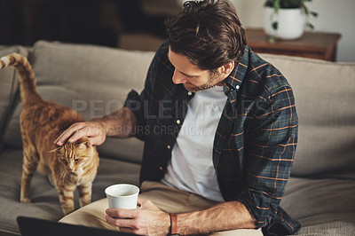 Buy stock photo Love, coffee and man with his cat on a sofa to relax and bond together in his modern home. Rest, animal and male person rubbing his kitten pet with care while drinking a latte in living room at home.